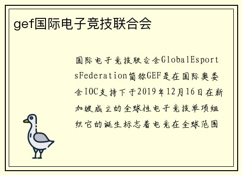 gef国际电子竞技联合会